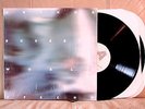 Arthur Russell - World Of Echo - double LP AU1002-1   w/ 4 newly added tracks