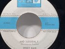 SWEET RAIN Super RARE Texas NORTHERN Blue Eyed SOUL Funk 45 ARV McAllen PROMO 