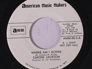 SIMONE JACKSON: Where Am I Going 45 (dj, very close to M-) Soul