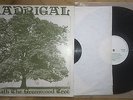 MADRIGAL - Beneath the Greenwood Tree UK Folk LP Very Rare