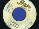 1132 PEOPLE'S CHOICE-HARD TIMES-GUSSIE-REGGAE 45 7