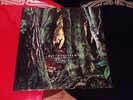 DAVID SYLVIAN Manafon LP  Japan