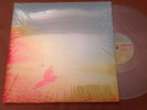 Flaming Lips Rare Silver Vinyl Pressing The Terror 2x LP OOP Wayne Coyne