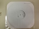 Piebald - We are the only friends we have vinyl TEST PRESS jimmy eat world