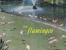The Flamingos original Checker LP