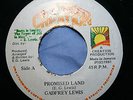 Gadfrey Lewis Promised Land 7
