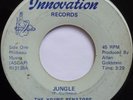 THE YOUNG SENATORS   JUNGLE   RARE DC FUNK 45 on INNOVATION   HEAR IT   RARE