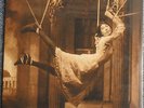 PORCUPINE TREE, Signify, Kscope HQ Vinyl Double LP 2011,  Steven Wilson, NEU