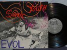 Sonic Youth EVOL Vinyl Record SST 059 1986 Great Condition LP rare vinyl