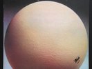 EGG - THE CIVIL SURFACE - UK 1st press LP superb NM