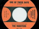 THE ROOSTERS- 