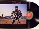 PINK FLOYD-DELICATE SOUND OF THUNDER-RARE DOPPIO LP 33 g. 1988