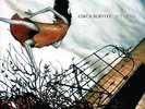 Circa Survive - JUTURNA Orange Vinyl Record LP Brand New SEALED /1000