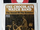 CHOCOLATE WATCH BAND - D 1967 Garage Psych Decca PS 45 