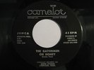 The Gatormen - Oh Honey / Hey Girl CAMELOT J119C GARAGE CLEAN RARE Seattle NM