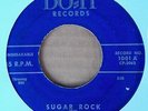 LINDEN DAY - SUGAR ROCK b/w NO REGRETS - DO-IT LABEL - ROCKABILLY 45 - 1959