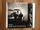 7” THE MEADOWS **Future / Once I Went Down The Street** RARE AUSTRIA BEAT 1969