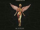 Nirvana-In Utero 2013 Mix-2 LP 180 Gram-Record Store Day Exclusive Release RSD