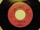 EXTREMLEY RARE 1ST PRESS MONSTER DOO WOP / CROSSOVER 45 