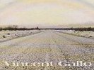 Vincent Gallo When Vinyl LP Warp 2001 Unplayed Super Rare
