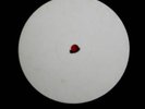 THE SMITHS -Panic-Rare UK 12