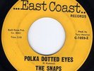 HEAR Snaps-Polka Dotted Eyes '66 PA snotty punk gem b/w cool protest folk punk