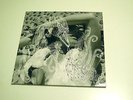 Björk VESPERTINE, Original Vinyl Doppelalbum von 2001, TOP-ZUSTAND