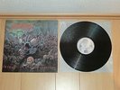 Suffocation - Effigy of the Forgotten