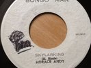 Skylarking Horace Andy Bongo Man Coxsone Dodd Dub Studio One On B Side Original