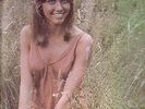 MINT CANADA VINYL LP ON POLYDOR OLIVIA NEWTON-JOHN IF NOT FOR YOU 2310 136