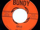 Ray Artis RARE Teen Doo Wop 45 rpm Record BUNDY 222 Dear Liz Wella Wella LISTEN