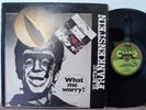 ELECTRIC FRANKENSTEIN What Me Worry ORIG Cramps LP Italian Hard Prog Psych RARE