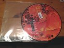 Tiamat Wildhoney Picture LP TOP STRENG LIMITIERT