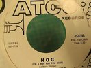THE GROUPIES - HOG 7