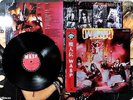 W.A.S.P. 