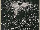 Mirror Ball [LP] by Neil Young (Vinyl, Jun-1995, Reprise)