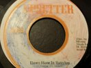 Brent Dowe Down Here In Babylon Killer Roots 7