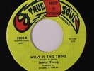 rare Soul 45 JANICE YOUNG what is this thing TRUE SOUL Listen