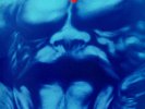 DEMON The Unexpected Guest 2x 180G BLUE LP VINYL BACK ON BLACK EDITION NEU