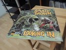 SAVOY BROWN LOOKING IN 1970 1ST PRESS BLUES ROCK KILLER