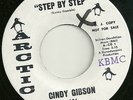 Cindy Gibson 45 