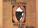 13th Floor Elevators - Bull of the Woods - original LP on International Artists