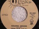 STEVE ELLIS AND HIS STARFIRES “Walking Around” DECIMA Garage NM