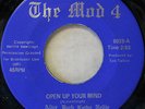 GARAGE THE MOD 4 OPEN UP YOUR MIND GIRL GROUP FUZZ GARAGE FREDLO 6833 RARE ORIG