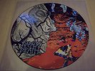 NAPALM DEATH HARMONY CORRUPTION LP ORIGINAL 1990 PICTURE DISC MOSH19P RARE