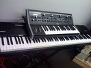 Moog Little Fatty Analog Synthesizer