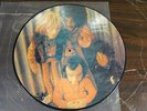 JIMI HENDRIX - BAND OF GYPSYS PICTURE DISC ON POLYDOR 2480 005  UK PRESSING