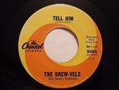 DREW VELS CAPITOL 5055 TELL HIM M- $40.00