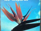 LES LEOPARDS Allez Coupé Chivé Ou 7