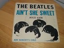 THE BEATLES AIN'T SHE SWEET ATCO 6308 RARE PICTURE PIC SLEEVE 45